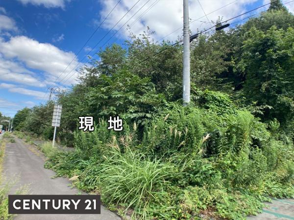 八戸市市川町和野前山　売土地（調整区域）　3309（A）