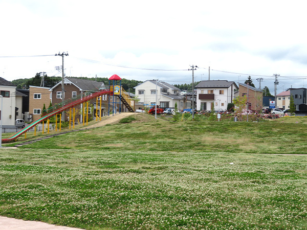 八戸市大字田向字向平の土地(田向中央公園)