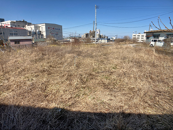 八戸市大字白銀町字人形沢の土地