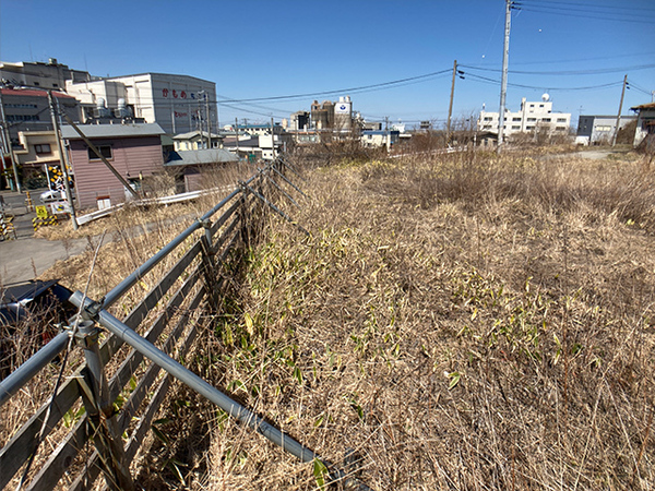 八戸市大字白銀町字人形沢の土地