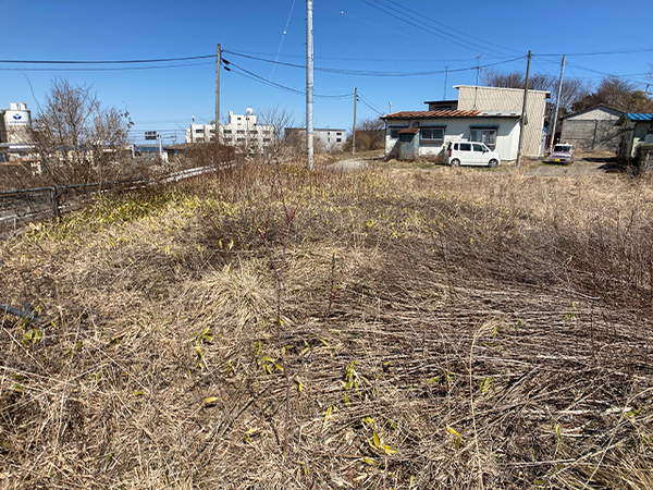 八戸市大字白銀町字人形沢の土地