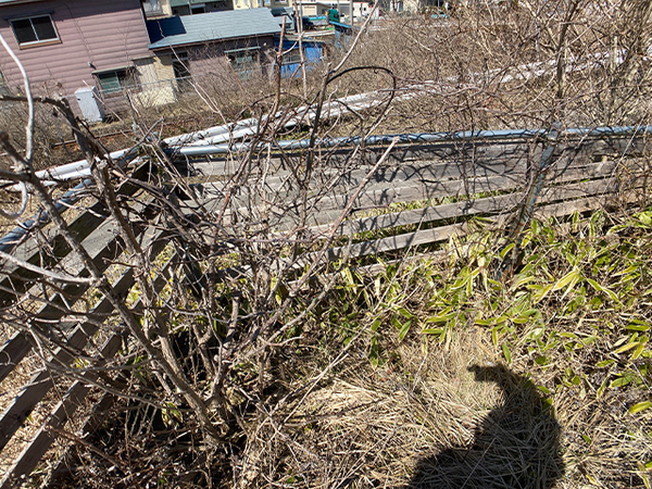 八戸市大字白銀町字人形沢の土地