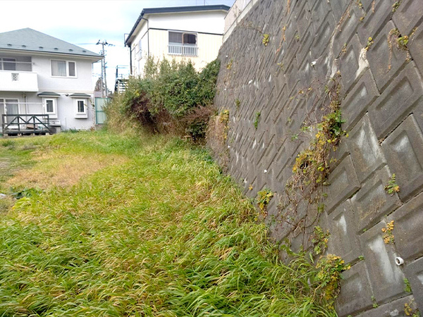 八戸市大字新井田字長塚森の土地