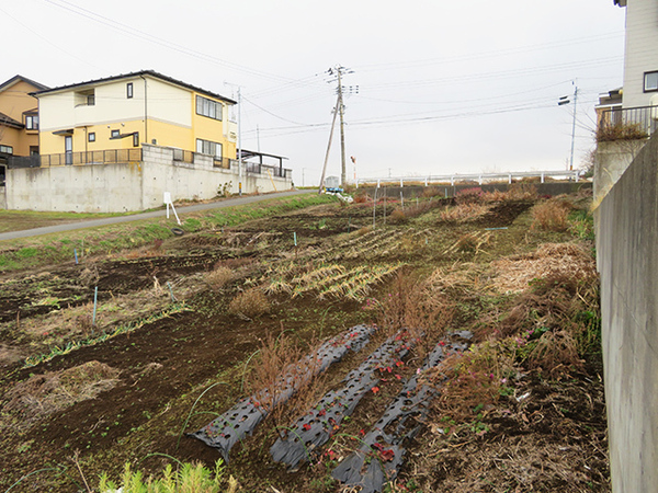 八戸市吹上６丁目の土地