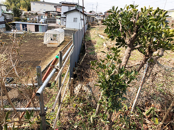 八戸市大字市川町字桔梗野の土地