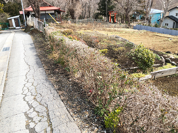 八戸市大字市川町字桔梗野の土地