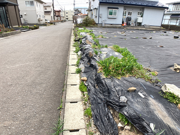 八戸市大字尻内町字鴨ケ池の土地