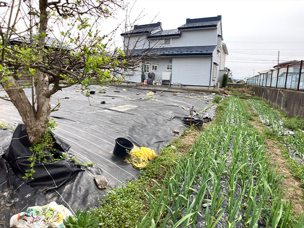 八戸市大字尻内町字鴨ケ池の土地