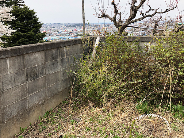 八戸市大字新井田字塩入の土地