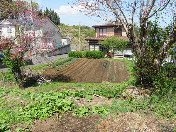 八戸市大字石手洗字駒ケ沢の土地