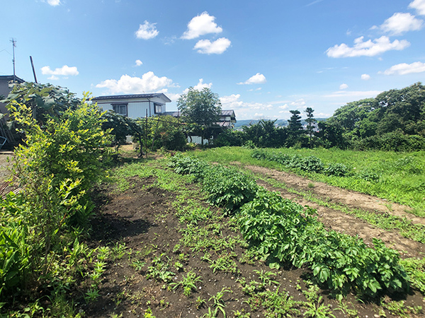 八戸市大字新井田字寺ノ上の土地