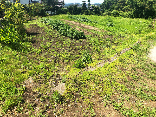 八戸市大字新井田字寺ノ上の土地