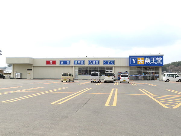 八戸市南白山台３丁目の土地(薬王堂八戸ニュータウン店)