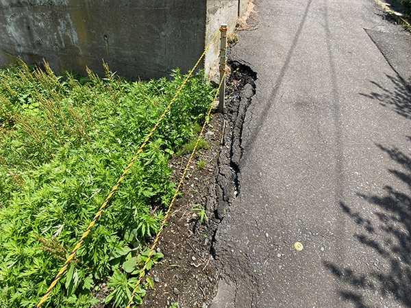 八戸市大字鮫町字鮫の土地