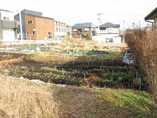 八戸市大字中居林字雷の土地