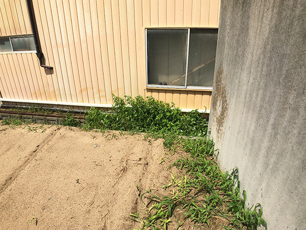 八戸市大字長苗代字内舟渡の土地(現地土地写真)