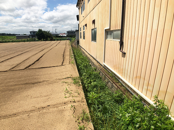 八戸市大字長苗代字内舟渡の土地(現地土地写真)