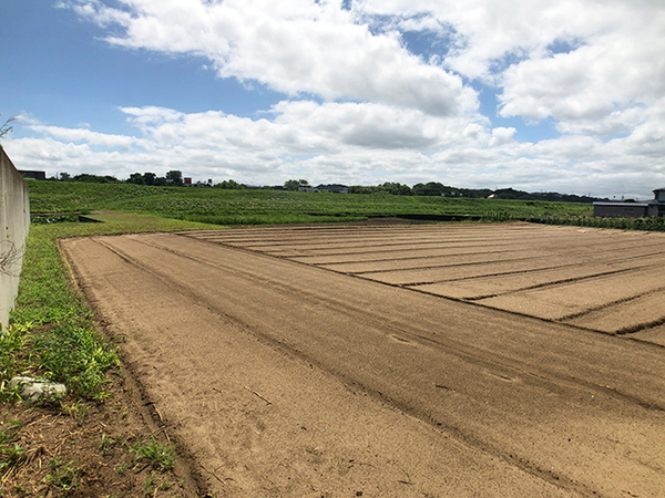 八戸市大字長苗代字内舟渡の土地(現地土地写真)
