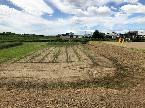 八戸市大字長苗代字内舟渡の土地(現地土地写真)