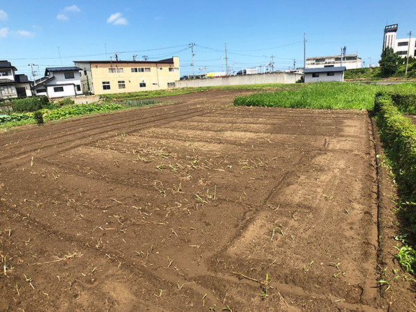 八戸市大字長苗代字内舟渡の土地(現地土地写真)