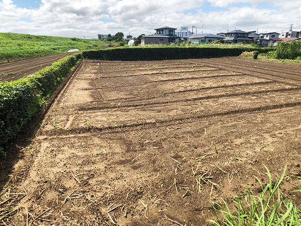 八戸市大字長苗代字内舟渡の土地(現地土地写真)