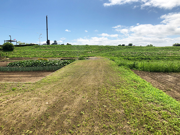 八戸市大字長苗代字内舟渡の土地(現地土地写真)
