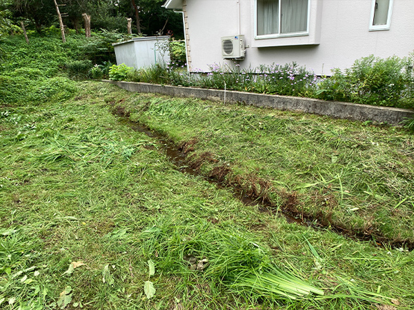 八戸市大字市川町字尻引堤沢の土地