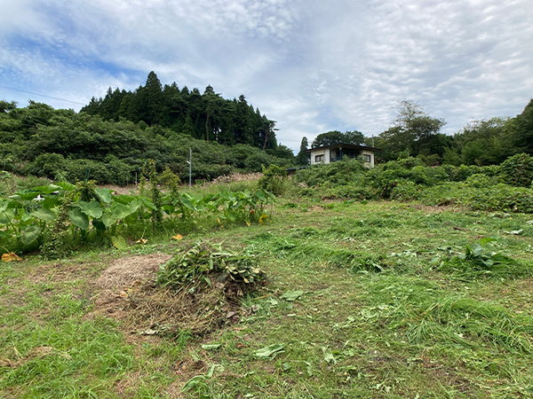 八戸市大字市川町字尻引堤沢の土地