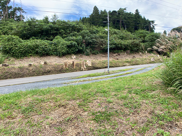 八戸市大字市川町字尻引堤沢の土地