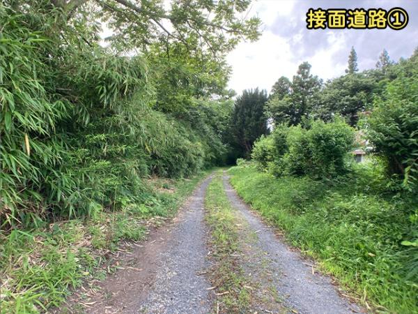 八戸市大字新井田字石動木の土地