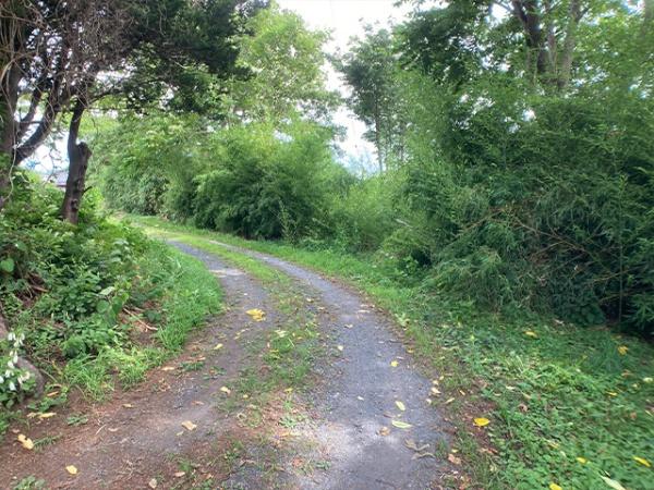 八戸市大字新井田字石動木の土地