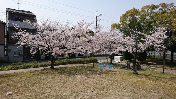 寝屋川市豊里町の新築一戸建(木屋元町公園)