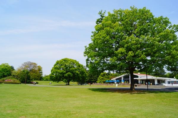 クロスタワー大阪ベイ(市岡公園)