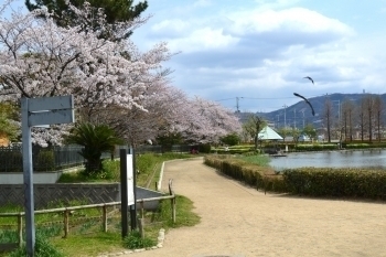門真市岸和田2丁目の新築一戸建(弁天池公園)