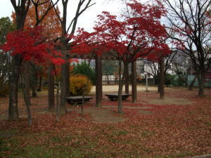 大東市平野屋１丁目の土地(泉公園)