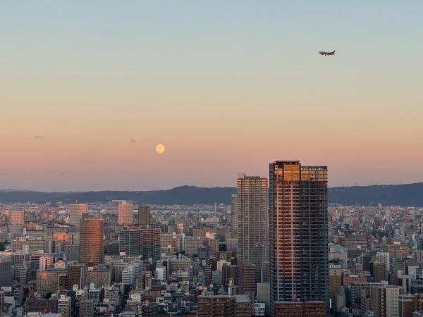ザ・ファインタワー梅田豊崎