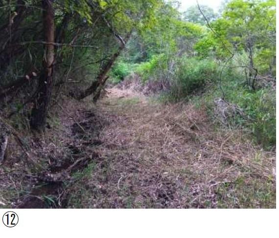 相楽郡南山城村大字田山小字割尾坂の土地
