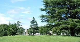 豊中市上野東２丁目の中古一戸建て(稲荷山公園)