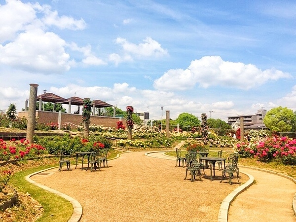 茨木市鮎川４丁目の新築一戸建(若園公園)