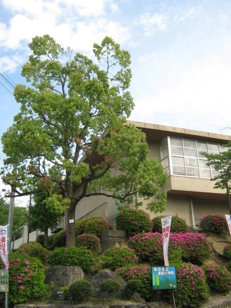 枚方市香里園山之手町の新築一戸建(枚方市立香里小学校)