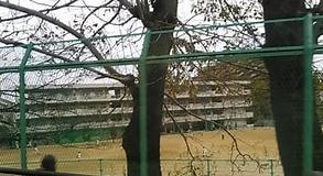 枚方市片鉾本町の新築一戸建(枚方市立山田中学校)