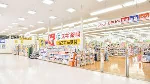 門真市上野口町の中古一戸建て(スギ薬局門真舟田店)