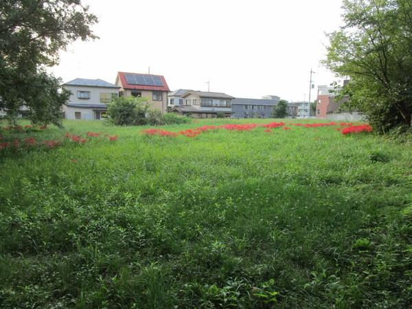 天理市櫟本町の土地