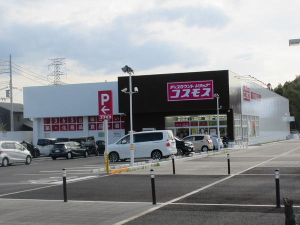 木津川市木津第30　4号棟(ディスカウントドラッグコスモス　城山台店)