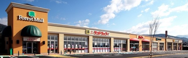 東急ドエルアルス木津南Ｃ棟(フォレストモール木津川)