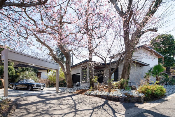 Ｖｉｌｌｉｋｅ　城ケ崎　Ｓａｋｕｌｉａ