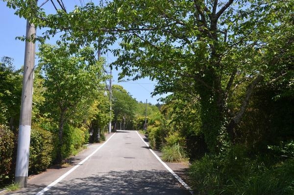 伊豆の国市大仁の中古一戸建て