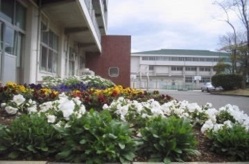 三島市南本町新築分譲住宅１期全２棟　２号棟(三島市立南中学校)