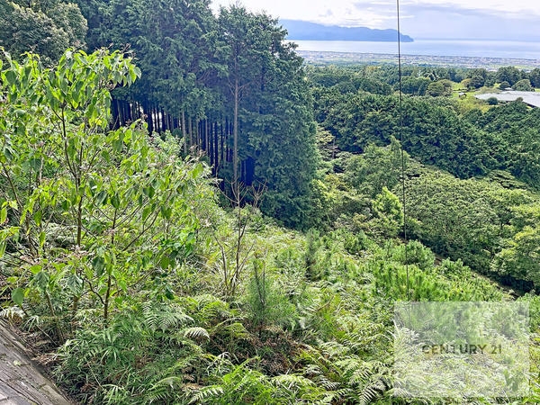 沼津市足高土地