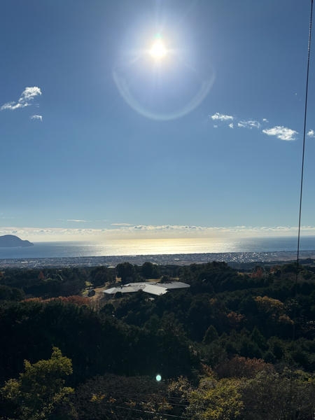 沼津市足高の土地